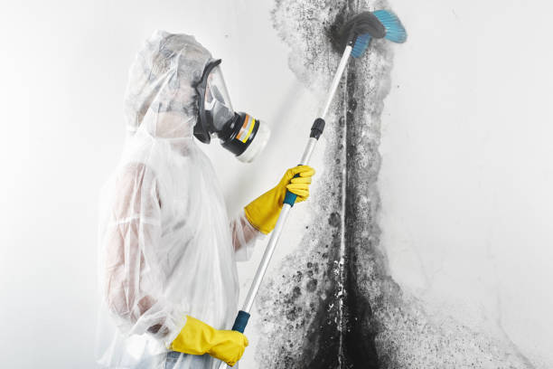 Best Airborne Mold Testing  in Park Ridge, NJ