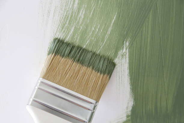 Best Mold Odor Removal Services  in Park Ridge, NJ