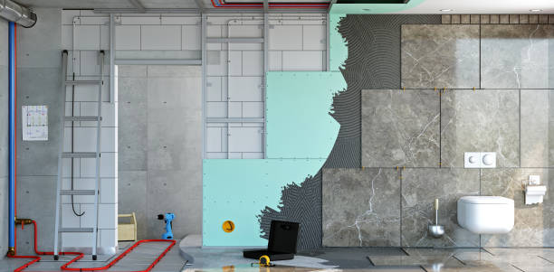 Best Basement Mold Removal  in Park Ridge, NJ