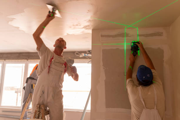 Best Mold Removal for HVAC Installations  in Park Ridge, NJ