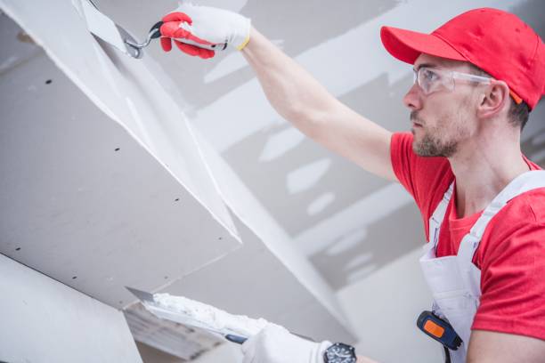 Mold Remediation for Rental Properties in Park Ridge, NJ